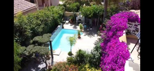 Double Room with Garden View