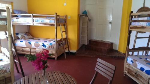 Bed in 6-Bed Dormitory Room