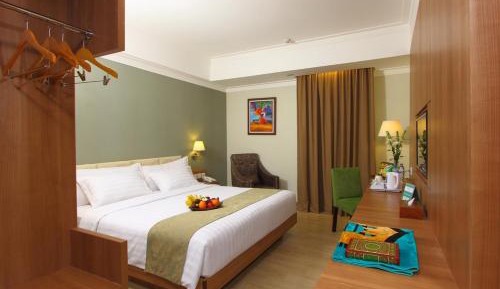 Deluxe Double or Twin Room