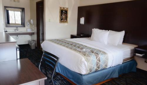 Economy Single Room