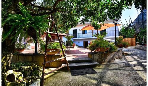 Deluxe Double or Twin Room with Garden View