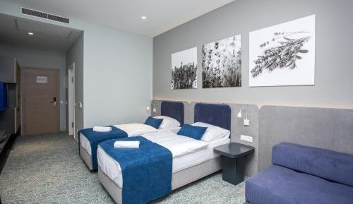 Standard Double or Twin Room