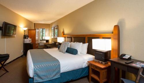 Comfort Room 1 King Bed