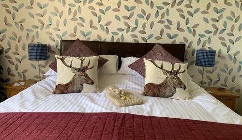 Double Room 1