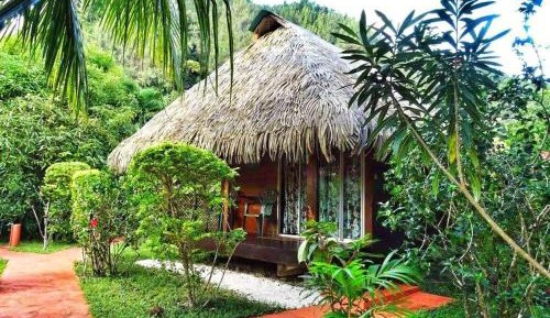 Standard Bungalow