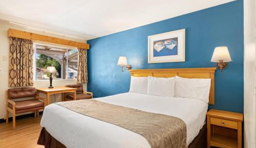 King Room - Poolside
