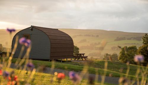 Luxury Glamping Pod
