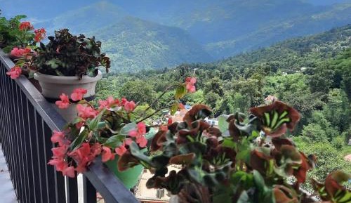 Studio with Mountain View