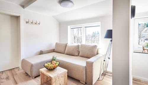Apartment with Mountain View