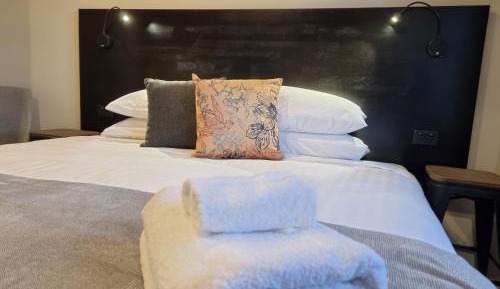Standard King Room