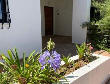 Two-Bedroom Apartment - Ground Floor 