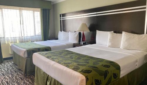 Standard Queen Room with Two Queen Beds