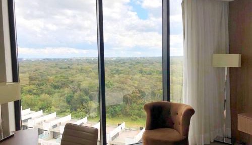 Swiss Advantage King Room with View