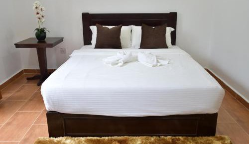 Superior Queen Room