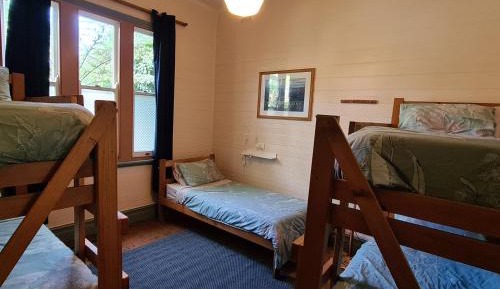 Bed in 5-Bed Dormitory Room