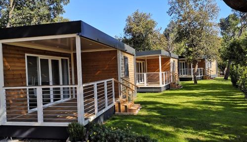Mobile Home
