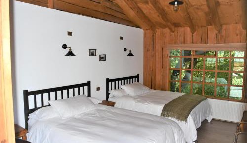 Double Room with Two Double Beds