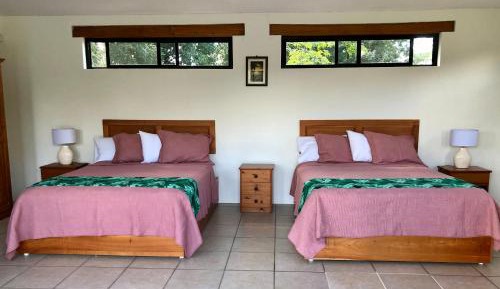 Superior Queen Room