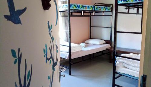 Bed in 6-Bed Mixed Dormitory Room