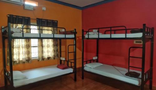 Bed in 4-Bed Dormitory Room