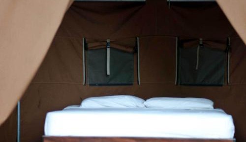 Safari Tent (Adults only - Shared Bathroom)