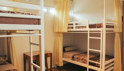 Bunk Bed in Male Dormitory Room 