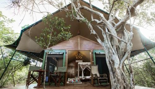 Luxury Eagle Tent with Private Pool (10% off on Wildlife Safaris)