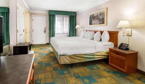 King Room with Roll-In Shower - Mobility Access/Non-Smoking