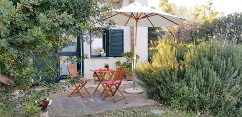 Apartment with Garden View