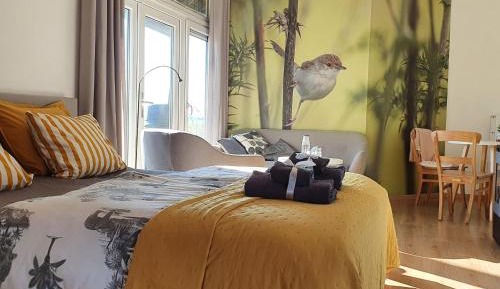 Large Double or Twin Room