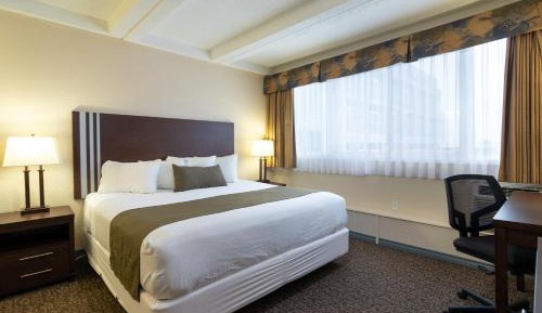 King Suite