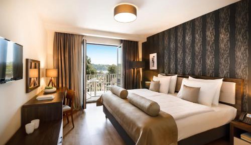 Standard Double Room with Balcony and Park View