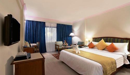 Superior Double or Twin Room