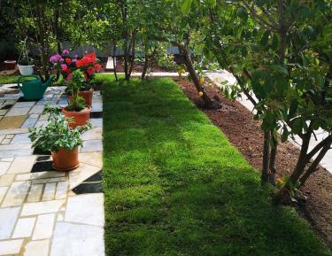 One-Bedroom Apartment with Garden View