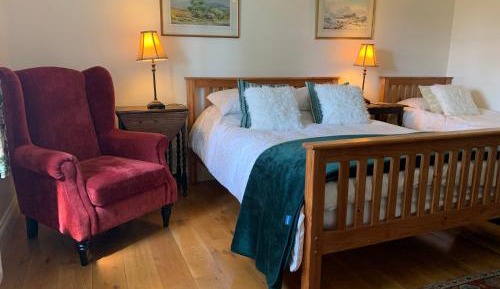 Superior Double or Twin Room