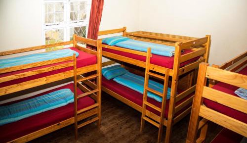 Bed in 6-Bed Mixed Dormitory Room
