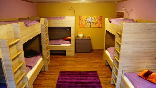 Bunk Bed in Mixed Dormitory Room