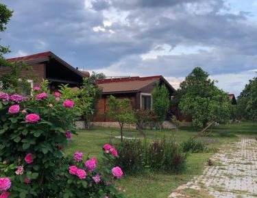 Holiday Home