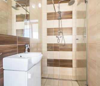 Apartment with Shower