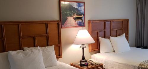Hala Suite