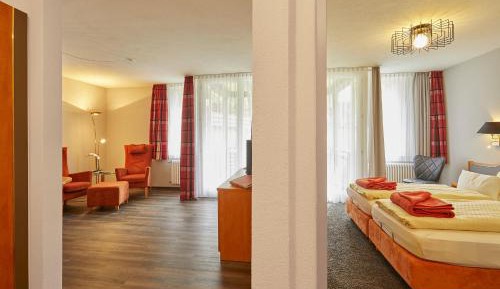 Comfort Apartment 1