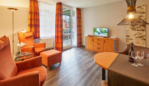 Comfort Apartment 3