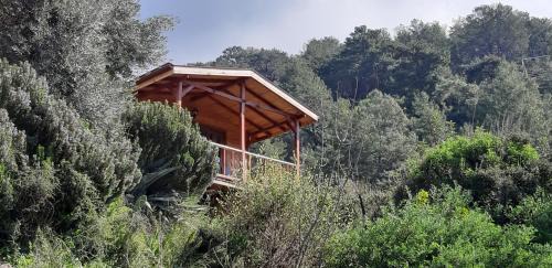 Deluxe Bungalow with Sea View