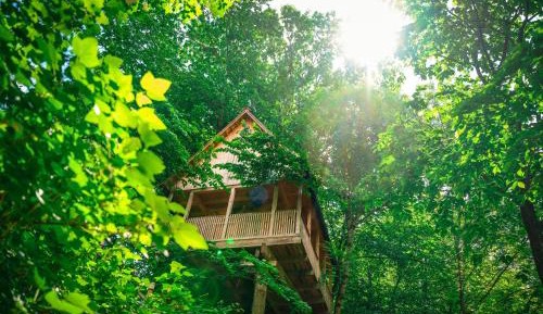 Two-Bedroom Tree House with Balcony 