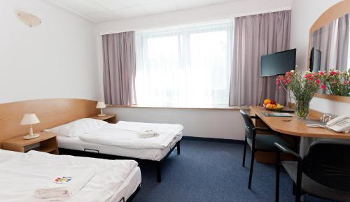 Superior Single Room