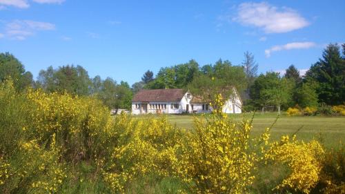 Seven-Bedroom Holiday Home