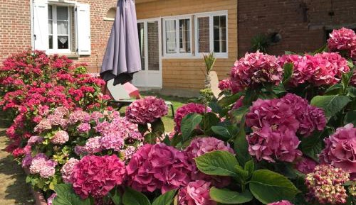 Two-Bedroom Holiday Home (4 Adults)