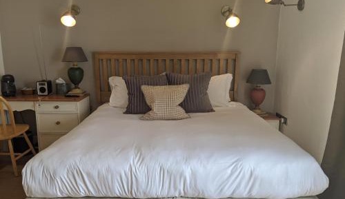 Deluxe Double or Twin Room with Garden View