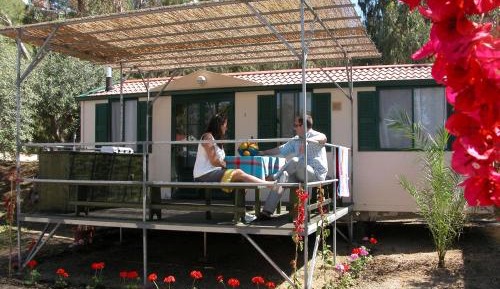 Mobile Home