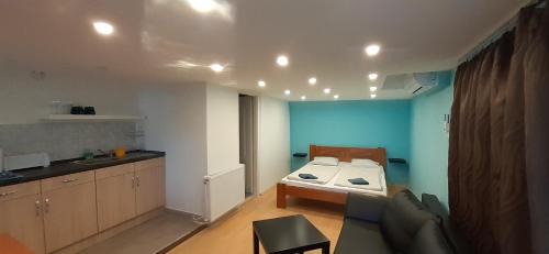 Studio with Terrace